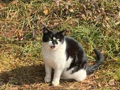 -狼山风景名胜区