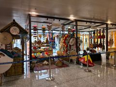 -河内内排国际机场