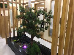 点击看大图 -芳朵美容养生SPA