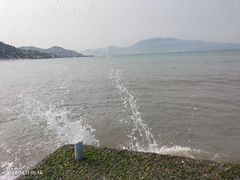 -杨梅坑