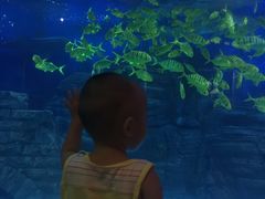 -烟台海昌鲸鲨海洋公园