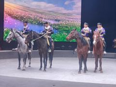 -安徽大青山野生动物世界