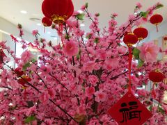 -老海陵·泰州菜(图书馆店)