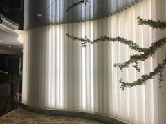 -339旋转餐厅(天府熊猫塔店)