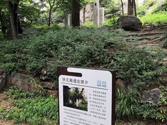 -崂山巨峰游览区
