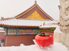 -故宫博物院(故宫)