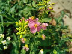 -中国天府农业博览园