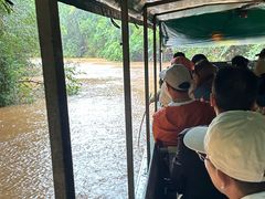 -热带雨林自然公园