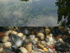 -成都市活水公园