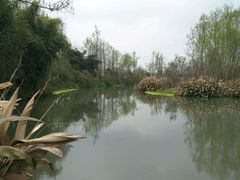 -桤木河湿地公园