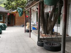 -鲤鱼塘农家山庄