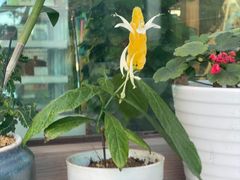 -弘安丽水温泉酒店