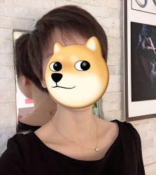 -尚丹尼造型