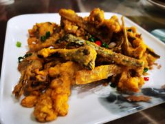 -鲤鱼塘农家山庄