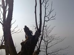 -九峰山