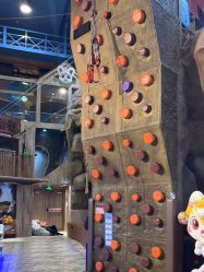 -卡通尼·Safari非洲探索乐园·生日会(金桥国际商业广场店)