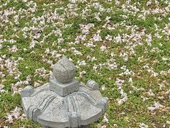 -苏州碑刻博物馆