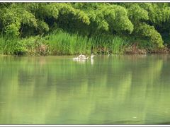 -绩溪龙川景区