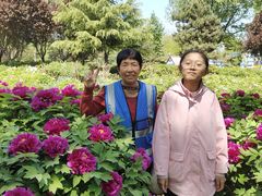 -石家庄市植物园