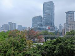 -虾饺妹·酒家(海珠广场店)