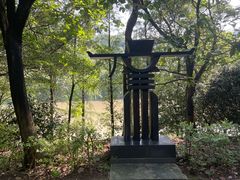 -水濂山森林公园