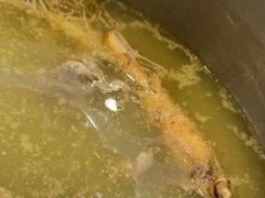 -朴小妹人参鸡汤火锅(长白山万达店)