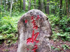 -五营红松林海景区