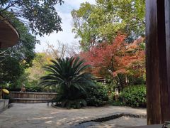 -张家港金凤凰度假村温泉