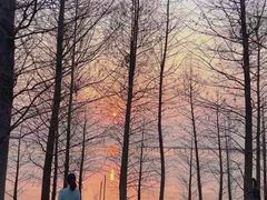 -滆湖低碳生态公园