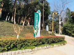 -九华山公园