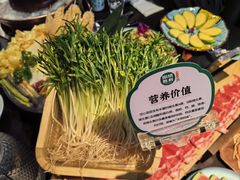 豆苗-阳坊胜利涮羊肉(阳坊老店)