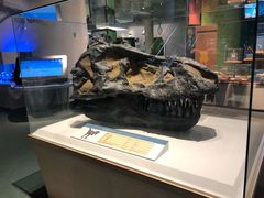-香港科学馆