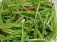 -藏龙百瀑漂流