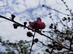 -乌山风景区