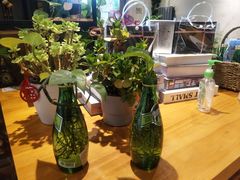 -ZING COFFEE 镜咖啡