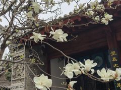 -万寿八仙宫