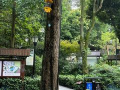 -青城道汤池