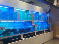 -辛香味烧鱼馆·非遗技艺·排骨红烧肉(光谷医药园店)