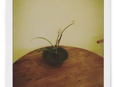 -赏清合茶文化艺术体验馆(百瑞景店)