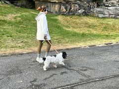 -麦考利夫人座椅
