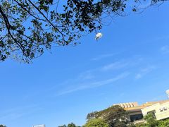 -荔枝公园(福田区)
