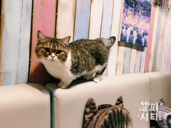-小时光咖啡馆(开森度假森林店)