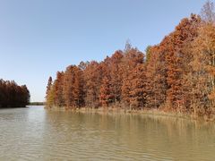 -上海海湾国家森林公园