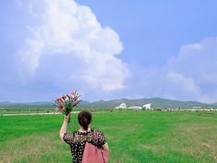 -敕勒川草原