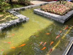 -南宁荔园维景国际酒店·荔园中餐厅