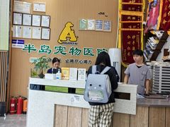 -半岛宠物医院24小时·内窥镜·牙科·碎石中心(府城大道店)
