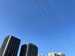 -四川简阳羊肉汤火锅(望花路西里店)