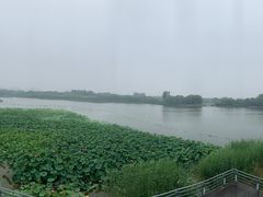 -大兴滨河森林公园