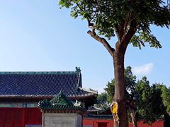 -北京古代建筑博物馆