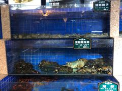 水产区-皇朝海鲜酒店